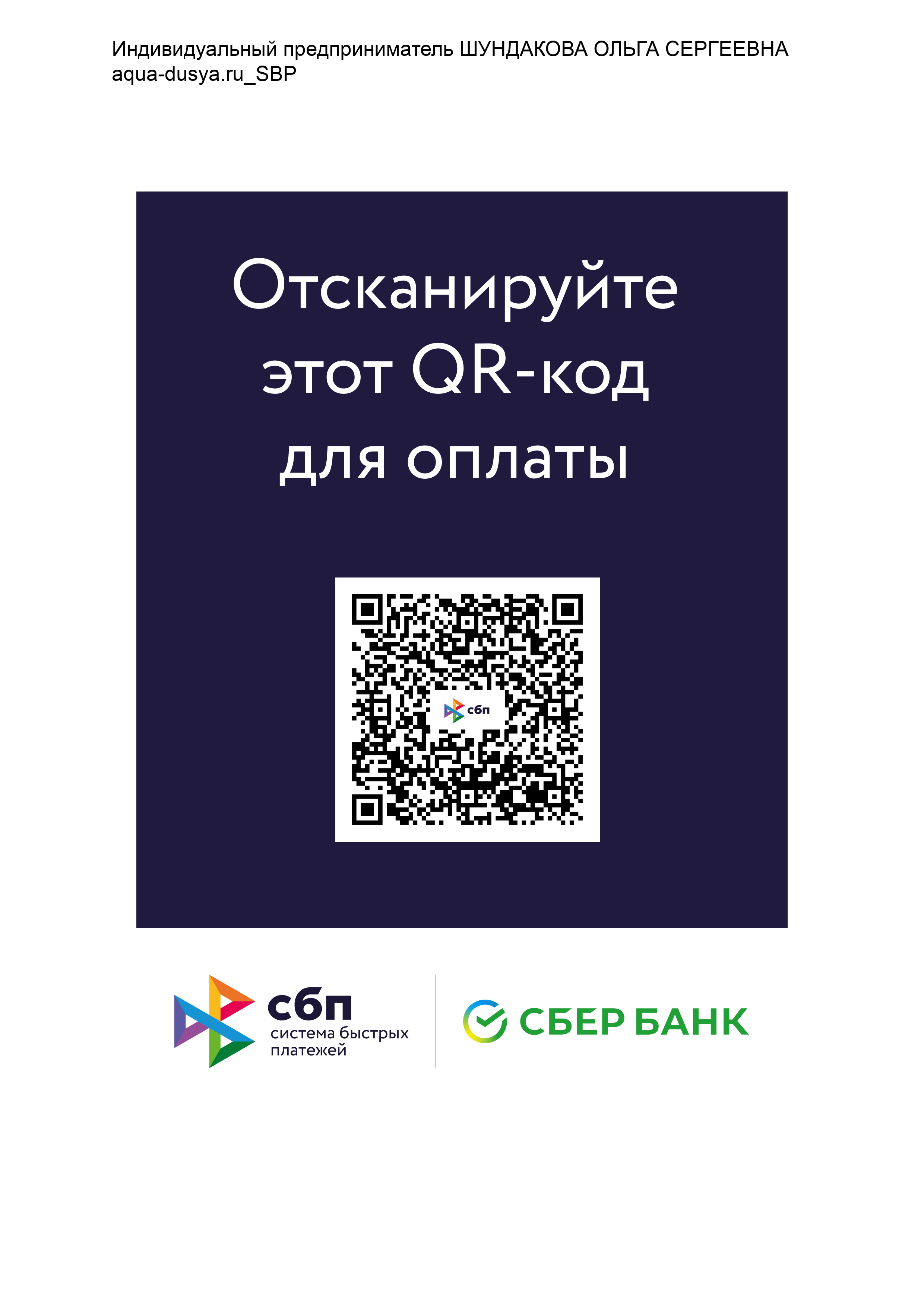 Оплата СПБ
